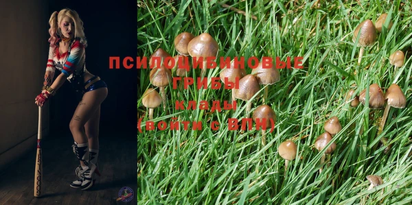 прущий лед Балабаново
