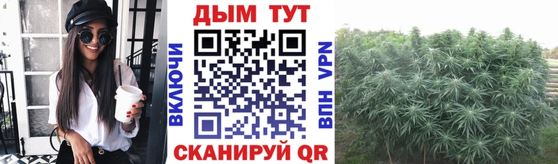 ссылка на мегу рабочий сайт  Лебедянь  Марихуана семена 